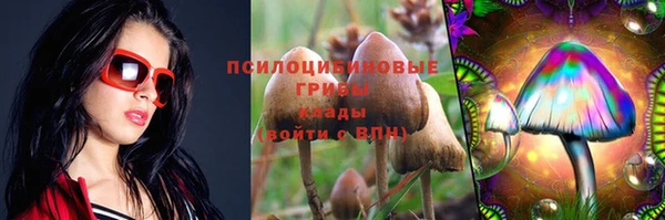 мяу мяу мука Новокубанск