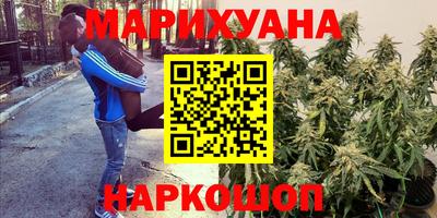 дурь Гатчина