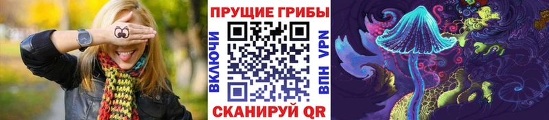 наркотики Анжеро-Судженск Псилоцибиновые грибы MAGIC MUSHROOMS