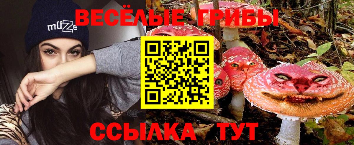 Псилоцибиновые грибы ЛСД Анжеро-Судженск