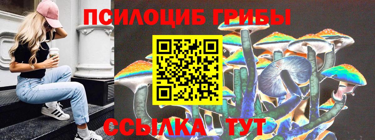 Галлюциногенные грибы Psilocybe Анжеро-Судженск