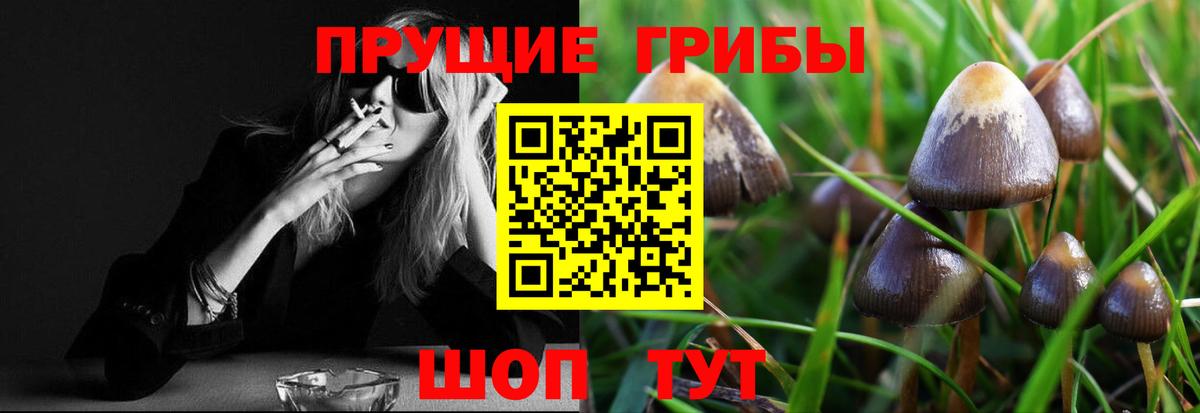 Псилоцибиновые грибы мицелий  Вход с VPN  Анжеро-Судженск 